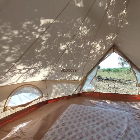Al Tent * 하니아
