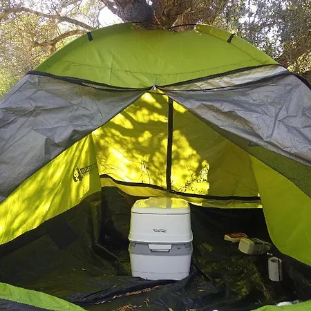 Al Tent 하니아